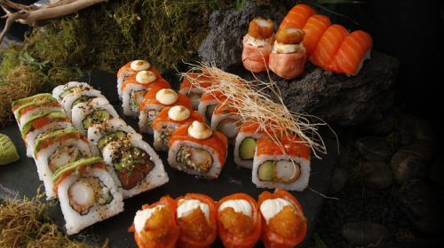 Jungle x30 Jungle x30